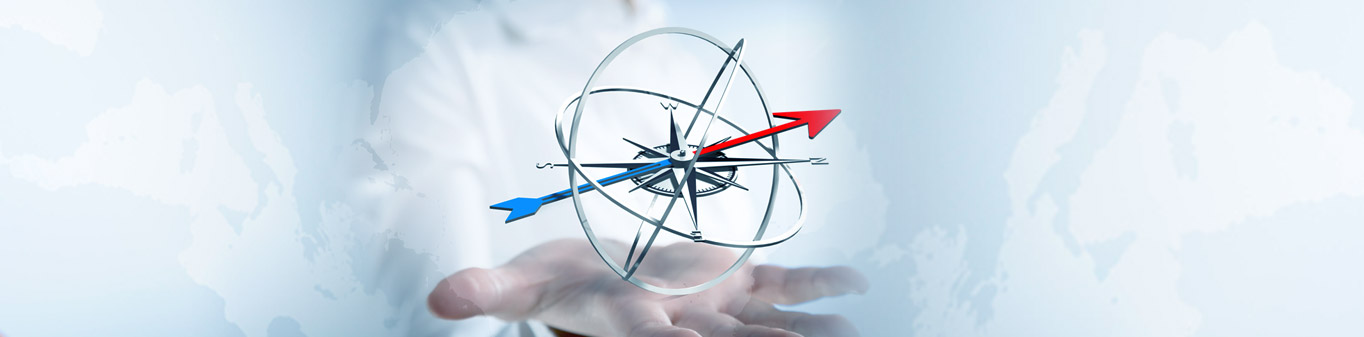 Neilsoft corporate statements