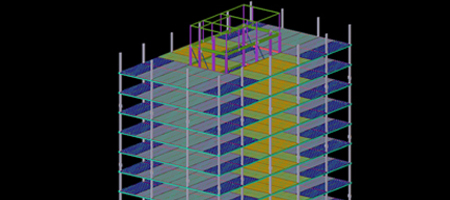 Neilsoft project case study showcase